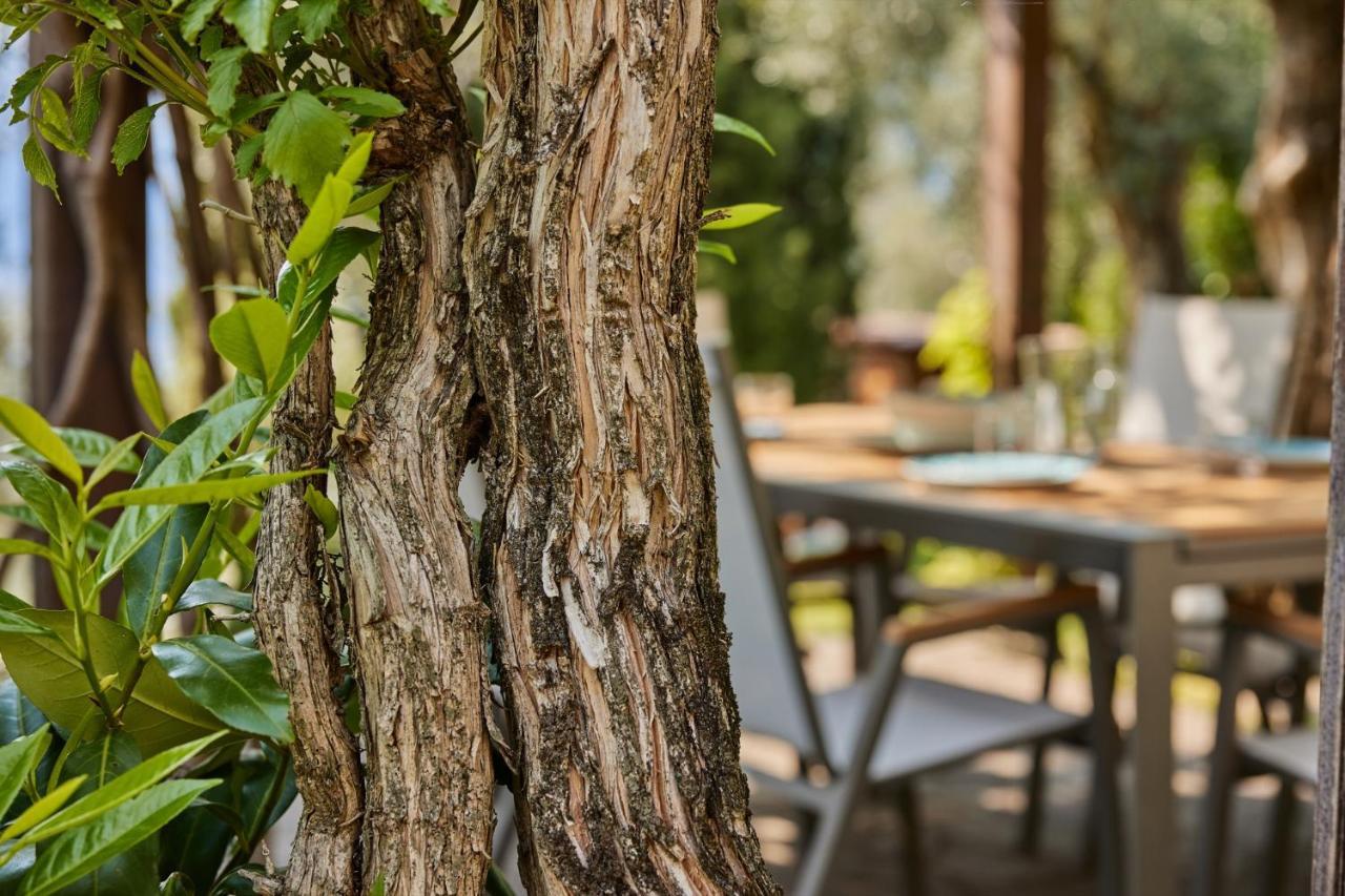 Villa Paier Relais & Pool Malcesine Esterno foto